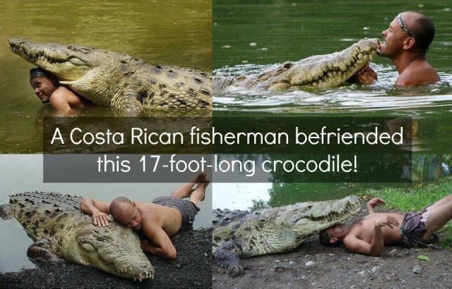 Bildschirmarbeiter - Picdump 27.12.2013