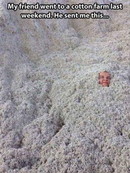 Bildschirmarbeiter - Picdump 27.12.2013