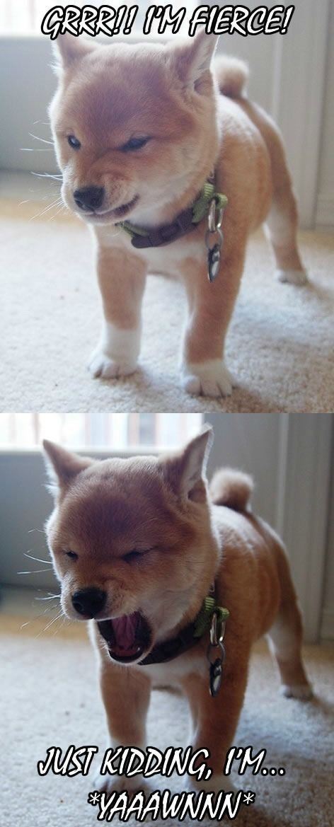 Bildschirmarbeiter - Picdump 27.12.2013