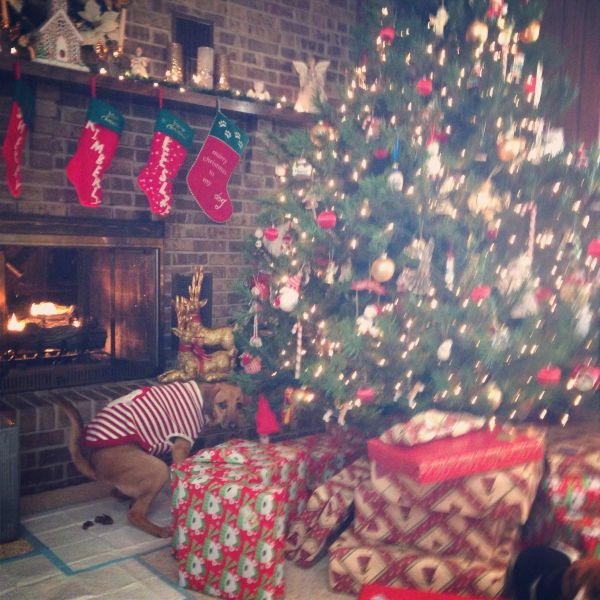 Bildschirmarbeiter - Picdump 27.12.2013