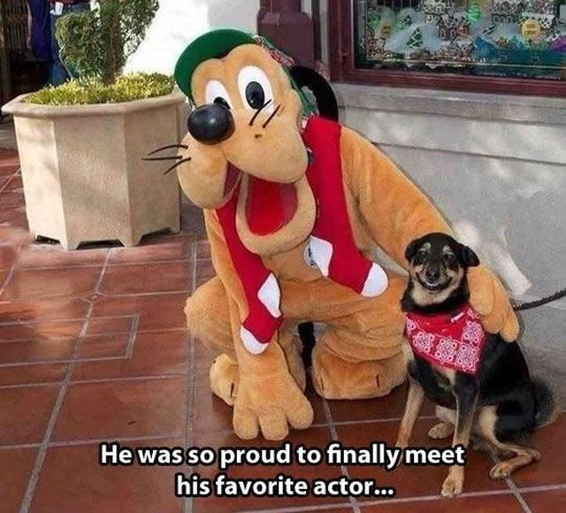 Bildschirmarbeiter - Picdump 27.12.2013