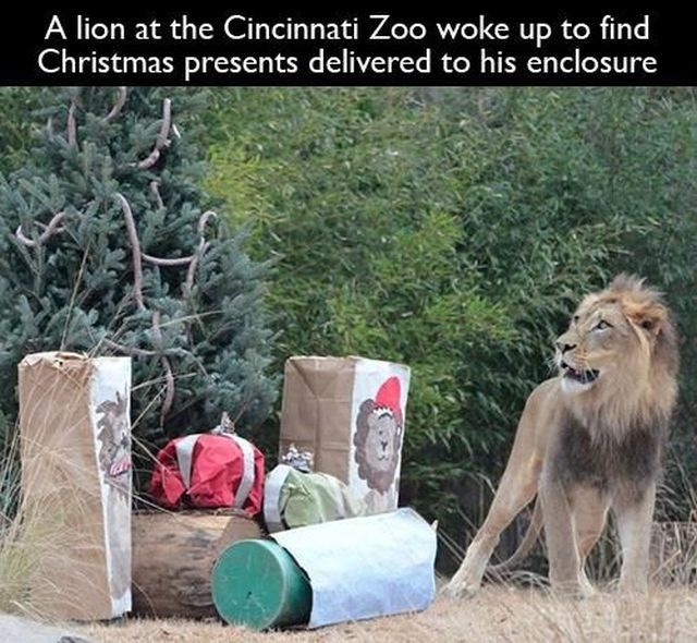 Bildschirmarbeiter - Picdump 27.12.2013