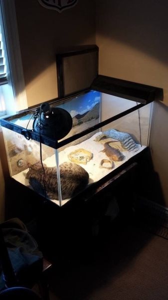 Bildschirmarbeiter - Picdump 10.01.2014