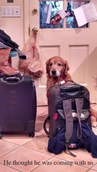 Bildschirmarbeiter - Picdump 10.01.2014