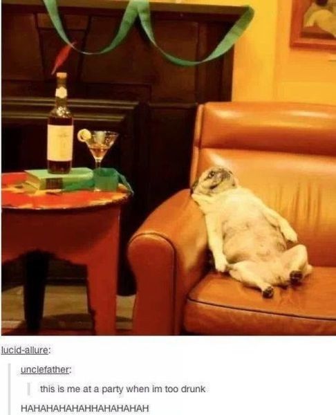 Bildschirmarbeiter - Picdump 10.01.2014