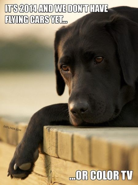 Bildschirmarbeiter - Picdump 10.01.2014