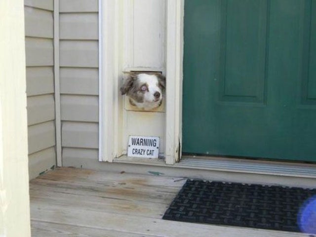 Bildschirmarbeiter - Picdump 10.01.2014