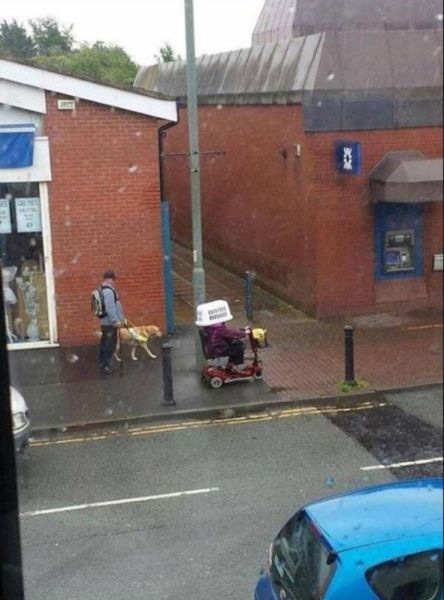 Bildschirmarbeiter - Picdump 10.01.2014