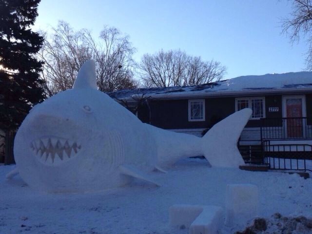 Bildschirmarbeiter - Picdump 10.01.2014