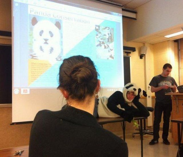 Bildschirmarbeiter - Picdump 10.01.2014