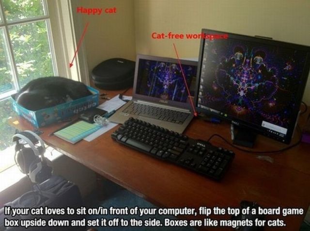 Bildschirmarbeiter - Picdump 10.01.2014