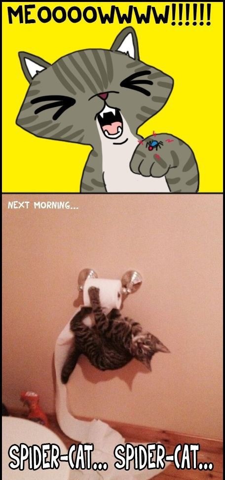 Bildschirmarbeiter - Picdump 10.01.2014