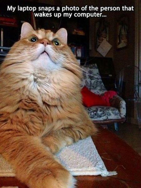 Bildschirmarbeiter - Picdump 10.01.2014