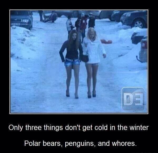 Bildschirmarbeiter - Picdump 10.01.2014