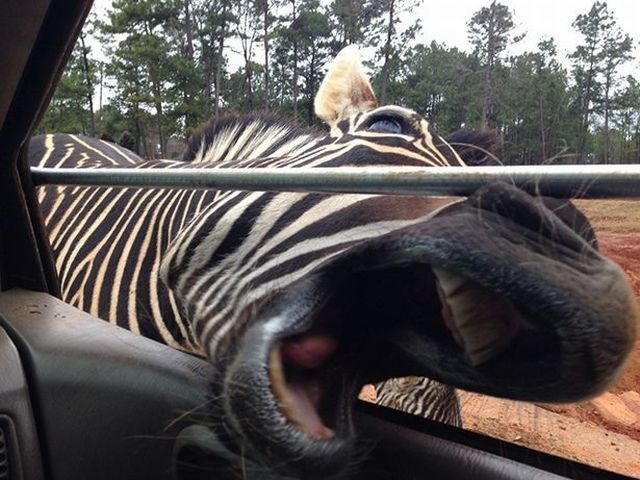 Bildschirmarbeiter - Picdump 10.01.2014