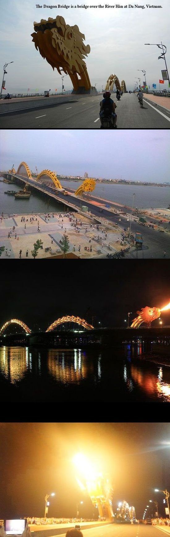 Bildschirmarbeiter - Picdump 10.01.2014