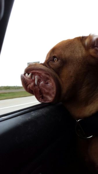 Bildschirmarbeiter - Picdump 17.01.2014