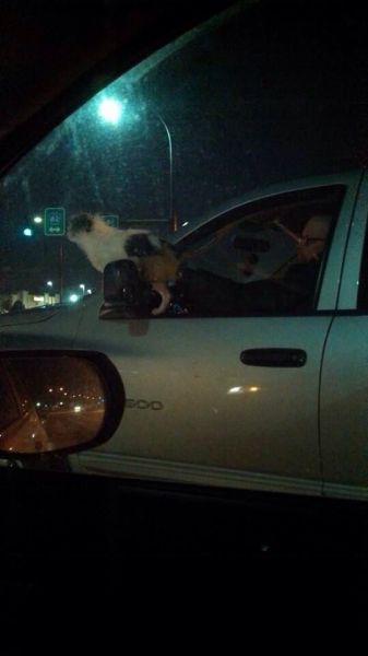 Bildschirmarbeiter - Picdump 17.01.2014