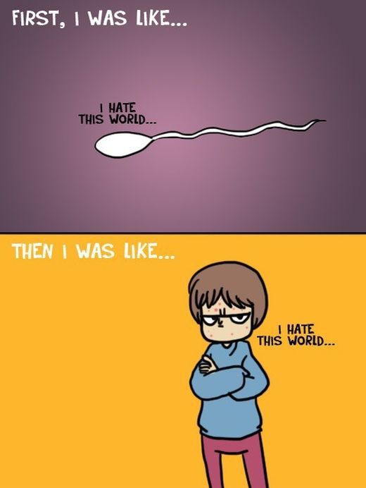 Bildschirmarbeiter - Picdump 17.01.2014