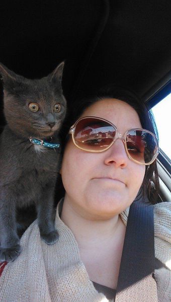 Bildschirmarbeiter - Picdump 17.01.2014