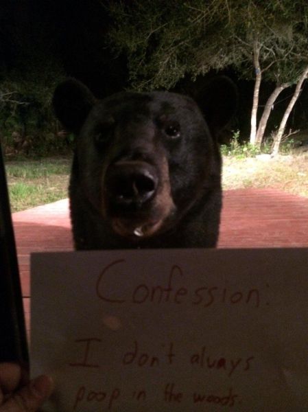 Bildschirmarbeiter - Picdump 17.01.2014