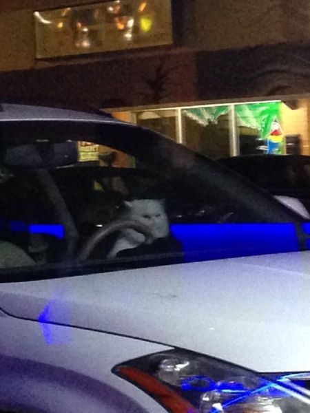 Bildschirmarbeiter - Picdump 17.01.2014