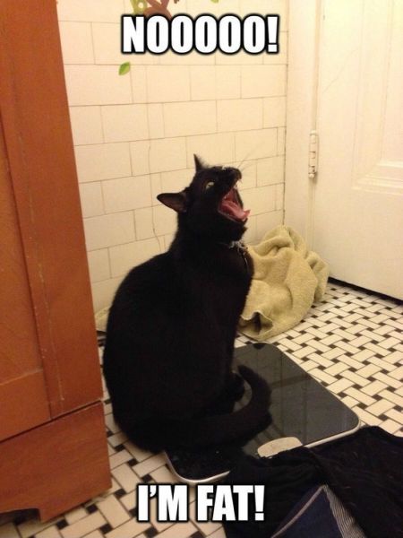 Bildschirmarbeiter - Picdump 17.01.2014