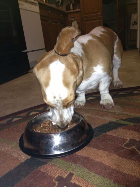 Bildschirmarbeiter - Picdump 17.01.2014