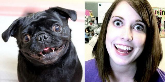 Bildschirmarbeiter - Picdump 17.01.2014