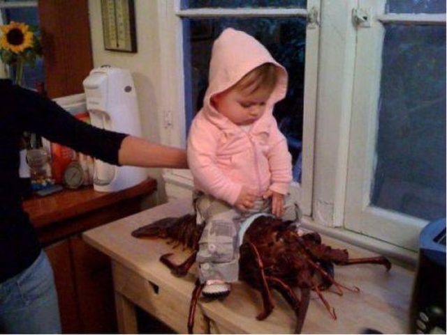 Bildschirmarbeiter - Picdump 17.01.2014