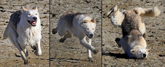 Bildschirmarbeiter - Picdump 17.01.2014