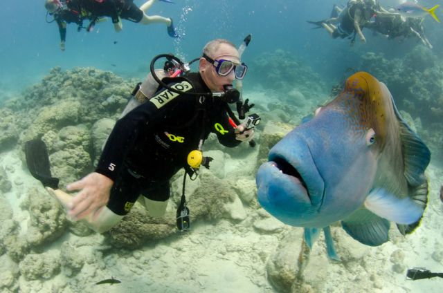 Bildschirmarbeiter - Picdump 17.01.2014