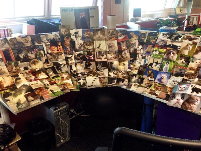 Bildschirmarbeiter - Picdump 17.01.2014