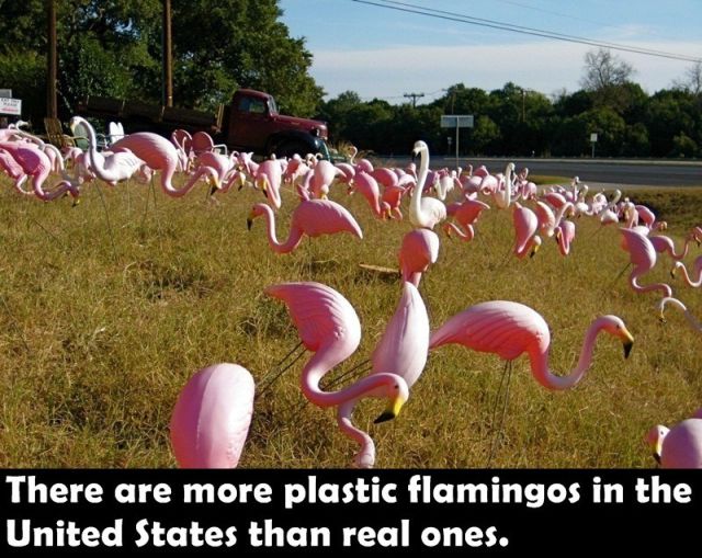 Bildschirmarbeiter - Picdump 17.01.2014