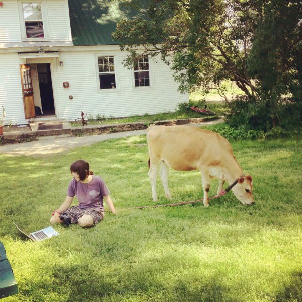 Bildschirmarbeiter - Picdump 17.01.2014