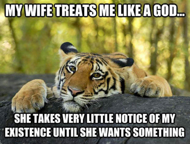 Bildschirmarbeiter - Picdump 17.01.2014