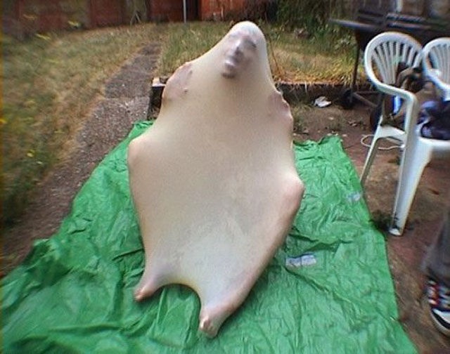 Bildschirmarbeiter - Picdump 24.01.2014