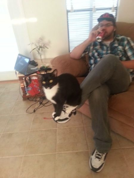 Bildschirmarbeiter - Picdump 24.01.2014