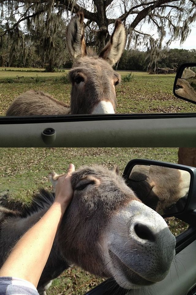 Bildschirmarbeiter - Picdump 24.01.2014