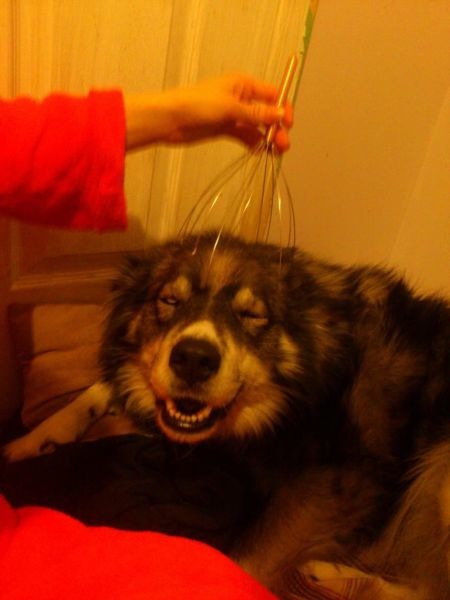 Bildschirmarbeiter - Picdump 24.01.2014