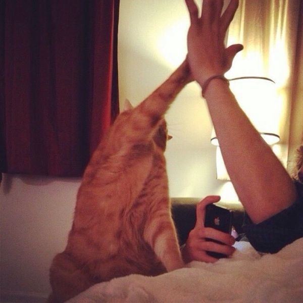 Bildschirmarbeiter - Picdump 24.01.2014