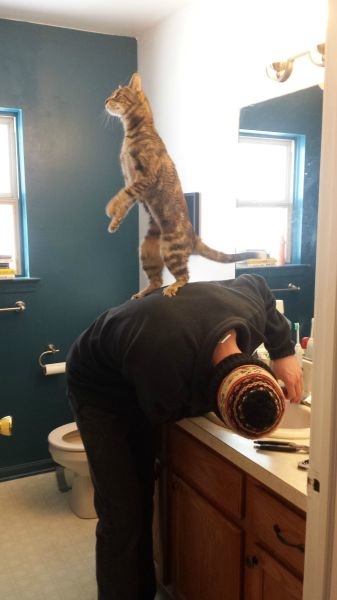 Bildschirmarbeiter - Picdump 24.01.2014