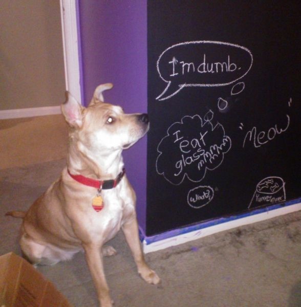 Bildschirmarbeiter - Picdump 24.01.2014