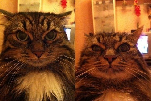 Bildschirmarbeiter - Picdump 24.01.2014