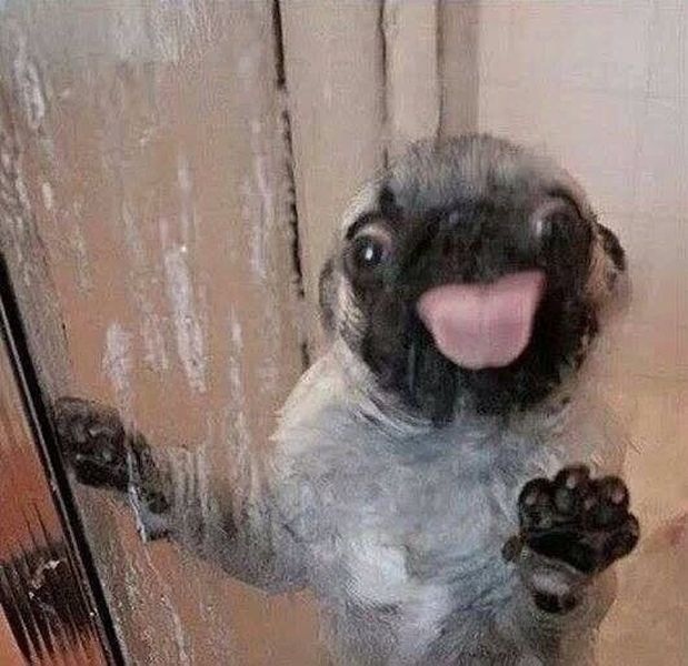 Bildschirmarbeiter - Picdump 24.01.2014