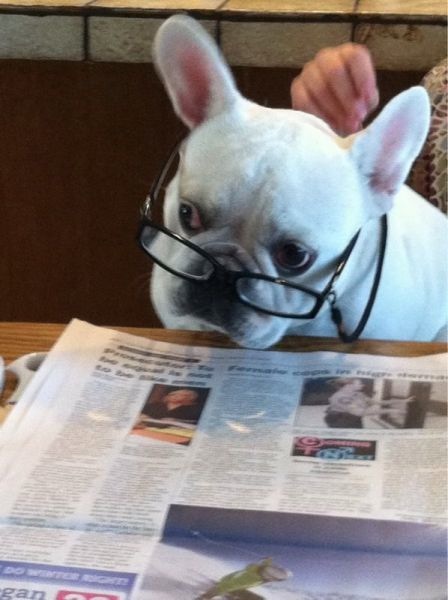 Bildschirmarbeiter - Picdump 24.01.2014