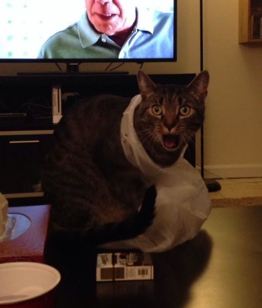 Bildschirmarbeiter - Picdump 24.01.2014