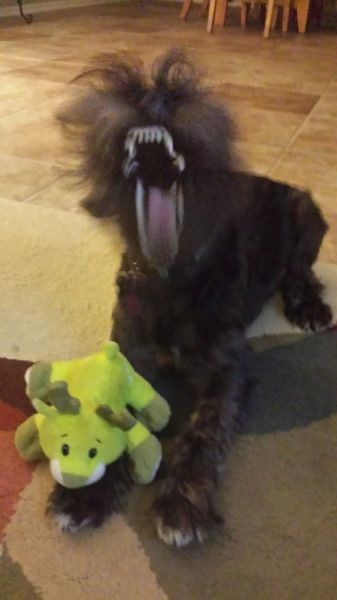 Bildschirmarbeiter - Picdump 24.01.2014