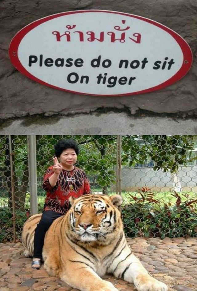 Bildschirmarbeiter - Picdump 24.01.2014