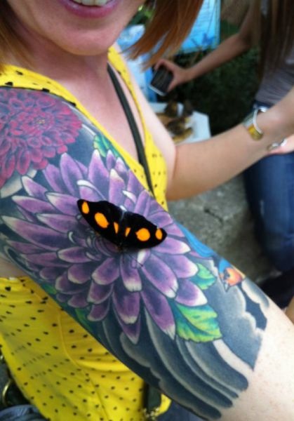 Bildschirmarbeiter - Picdump 24.01.2014